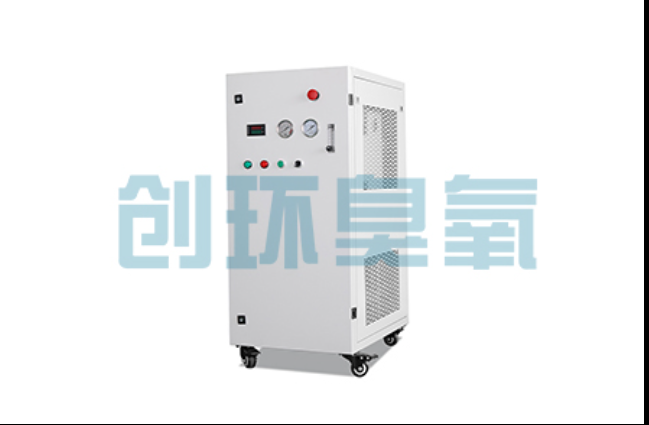 松江工厂化养鲈必看:2026年臭氧发生器替代传统消毒的最新方案