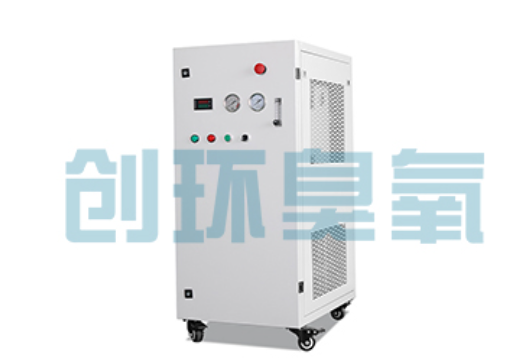 松江石斑鱼养殖水质调控完整指南:臭氧发生器配置与操作步骤