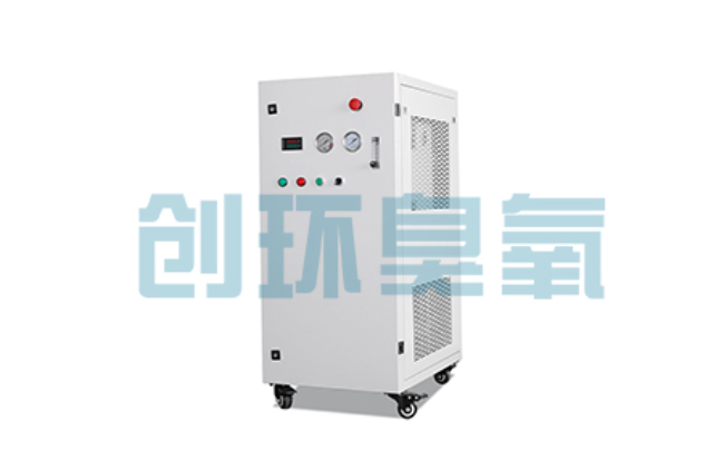 松江比传统换水更高效?臭氧发生器在石斑鱼养殖中的水质净化原理解析
